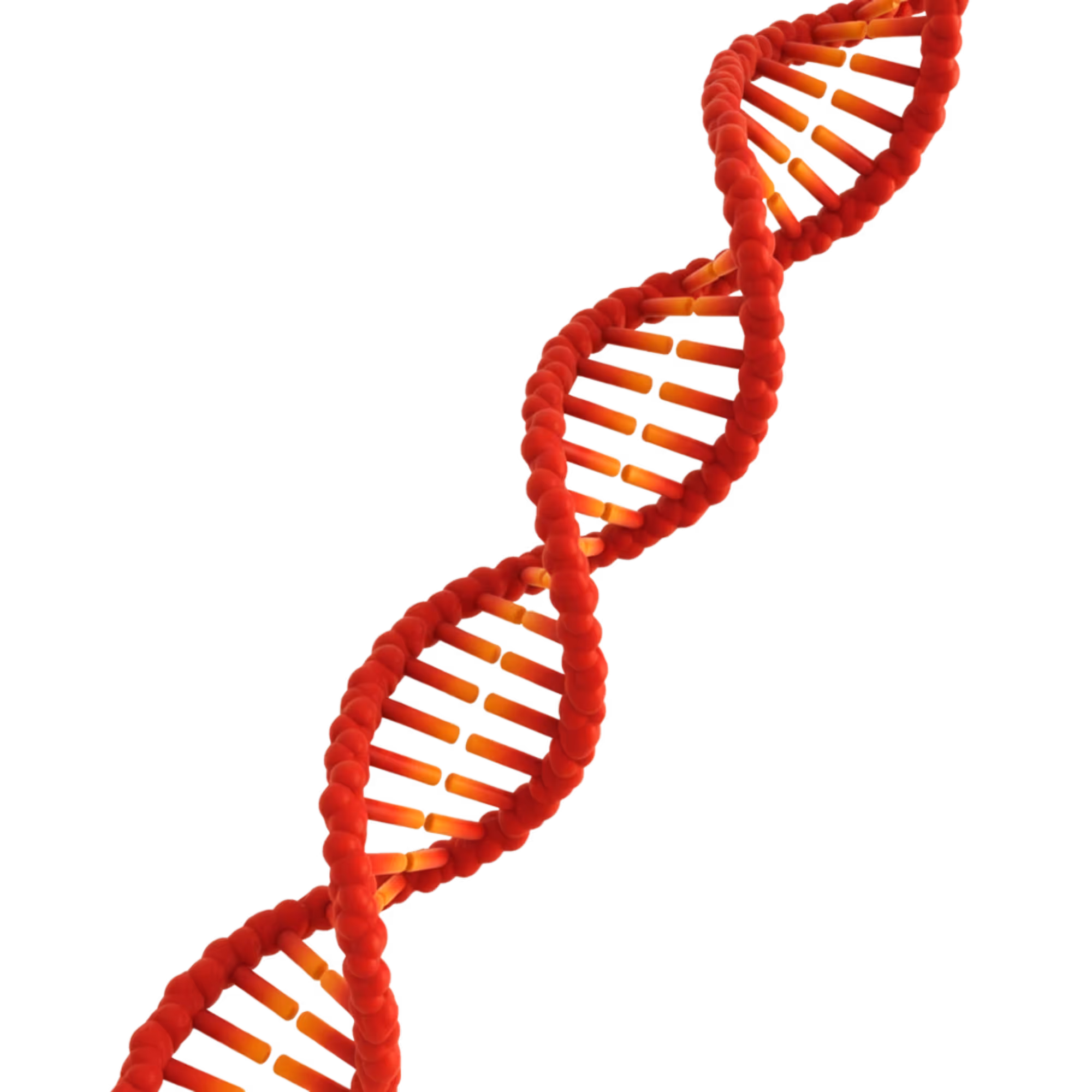 Weightless dna